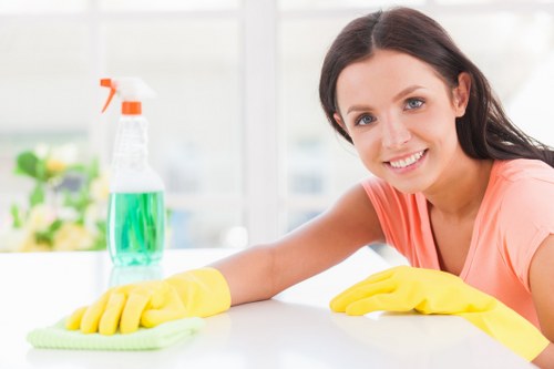 Accessibility statement introduction for Carpet Cleaners W1S