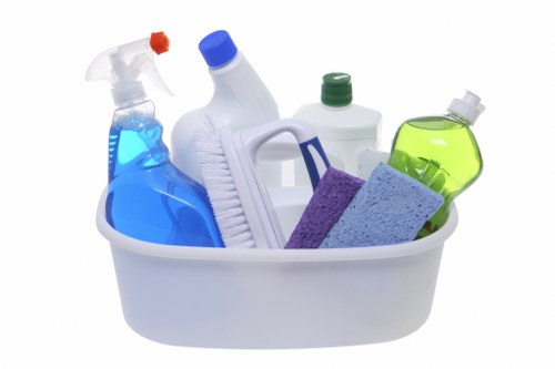 Regular cleaning for W1S homes and apartments