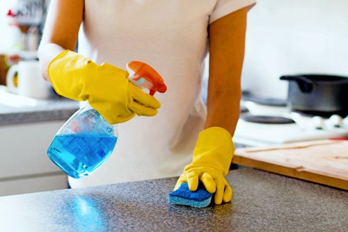 Professional stain removal service for carpets and upholstery in W1S