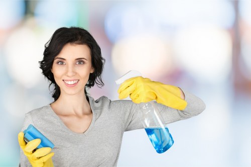 Illustration representing essential cookies on the Carpet Cleaners W1S website
