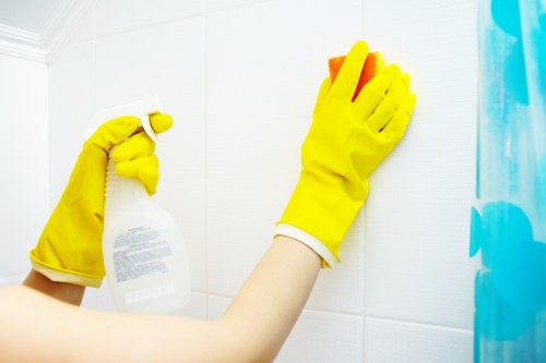 Domestic cleaning service for a W1S apartment interior