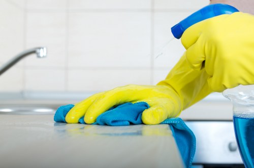 Carpet cleaning team assessing a service issue