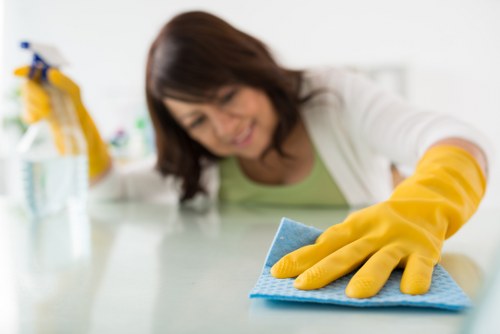 Kitchen and bathroom domestic cleaning in W1S