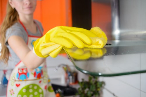Weekly cleaning support for a flat in W1S