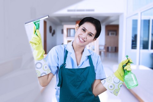Advice and preparation for booking stain removal in W1S