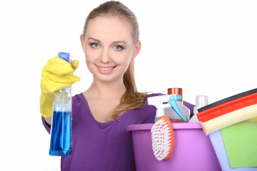 Thorough cleaning of a luxury apartment interior in the W1S area
