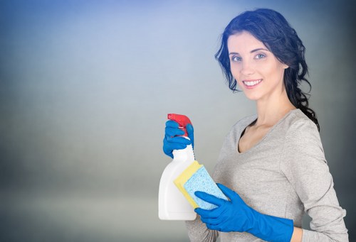 Residential and commercial mattress cleaning service in W1S